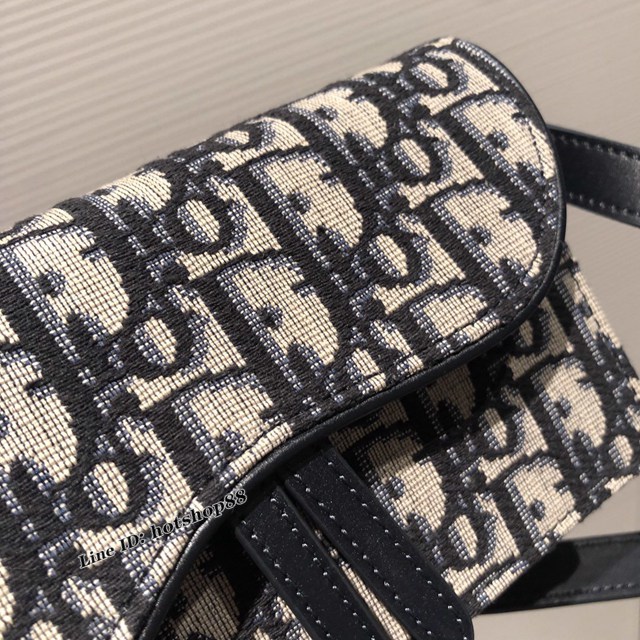 Dior專櫃2022新款belt bag 迪奧熱賣款小腰包 fkd1463